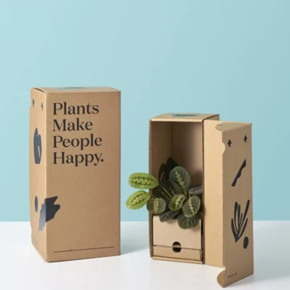 Live Plant Shipping Boxes